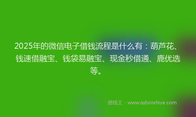 2025年的微信电子借钱流程是什么有：葫芦花、钱速借融宝、钱袋易融宝、现金秒借通、鹿优选等。