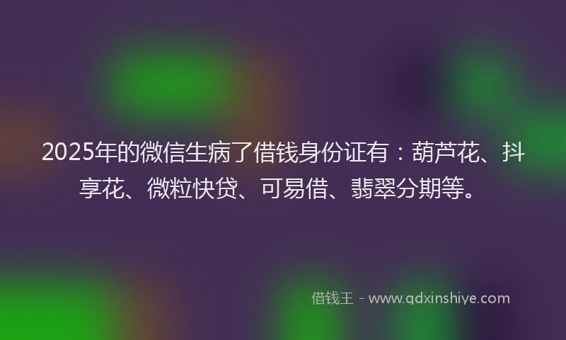 2025年的微信生病了借钱身份证有：葫芦花、抖享花、微粒快贷、可易借、翡翠分期等。
