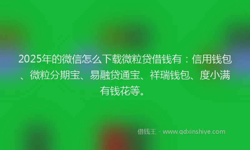 2025年的微信怎么下载微粒贷借钱有：信用钱包、微粒分期宝、易融贷通宝、祥瑞钱包、度小满有钱花等。