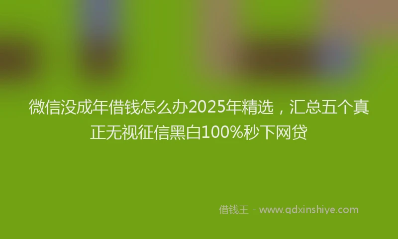 微信没成年借钱怎么办2025年精选，汇总五个真正无视征信黑白100%秒下网贷