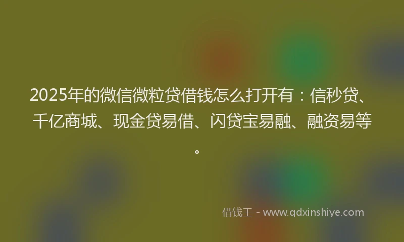 2025年的微信微粒贷借钱怎么打开有：信秒贷、千亿商城、现金贷易借、闪贷宝易融、融资易等。