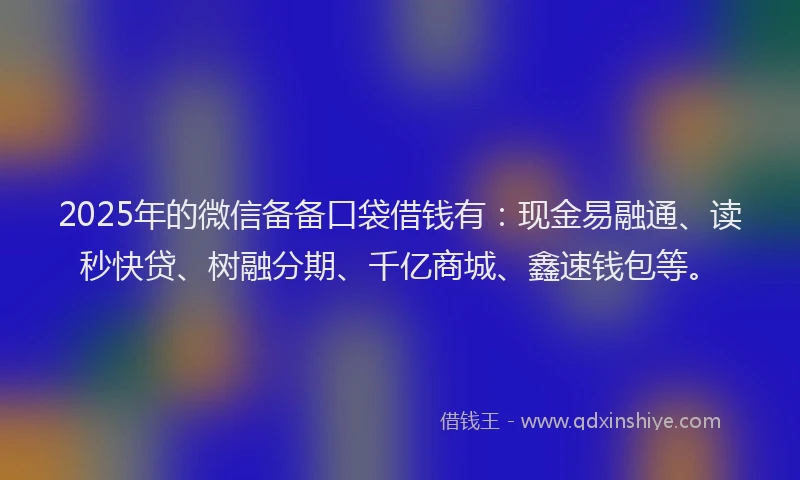 2025年的微信备备口袋借钱有：现金易融通、读秒快贷、树融分期、千亿商城、鑫速钱包等。