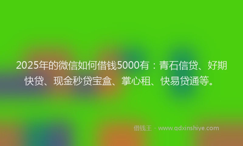 2025年的微信如何借钱5000有：青石信贷、好期快贷、现金秒贷宝盒、掌心租、快易贷通等。
