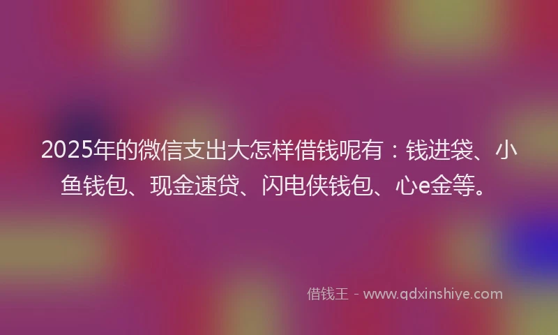 2025年的微信支出大怎样借钱呢有：钱进袋、小鱼钱包、现金速贷、闪电侠钱包、心e金等。