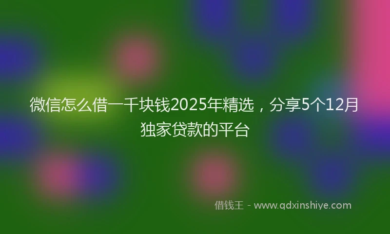 微信怎么借一千块钱2025年精选，分享5个12月独家贷款的平台