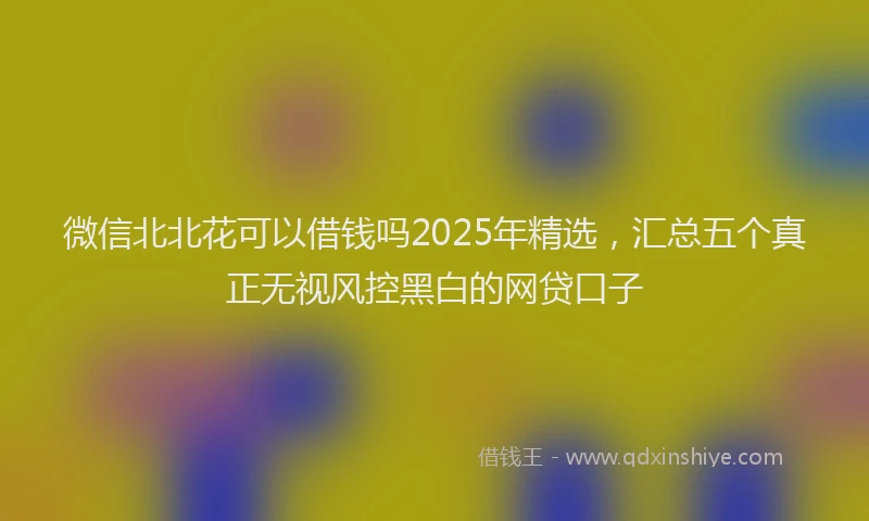 微信北北花可以借钱吗2025年精选，汇总五个真正无视风控黑白的网贷口子