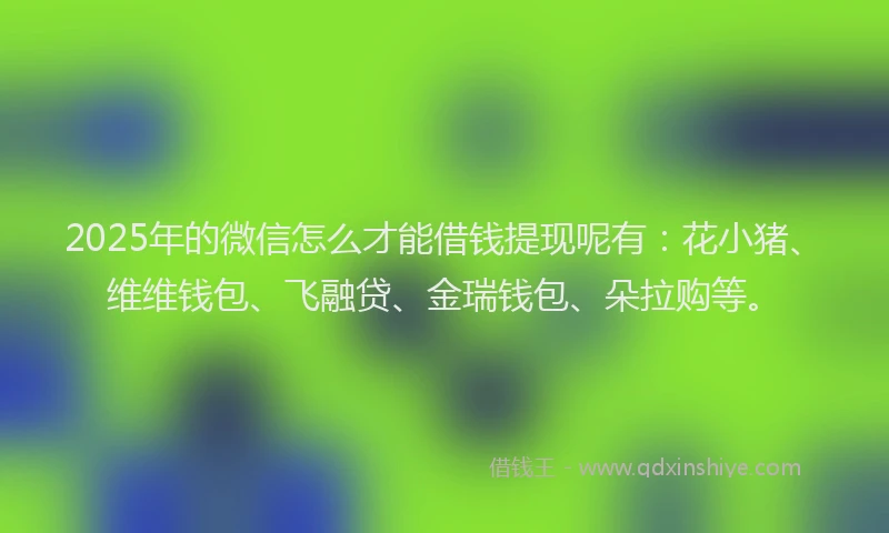 2025年的微信怎么才能借钱提现呢有：花小猪、维维钱包、飞融贷、金瑞钱包、朵拉购等。
