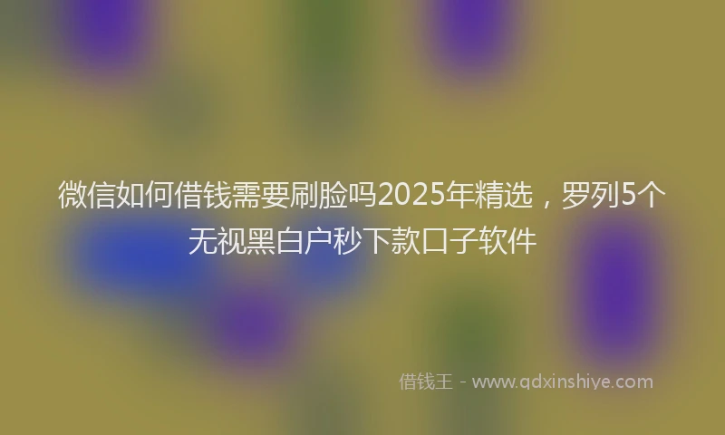 微信如何借钱需要刷脸吗2025年精选，罗列5个无视黑白户秒下款口子软件