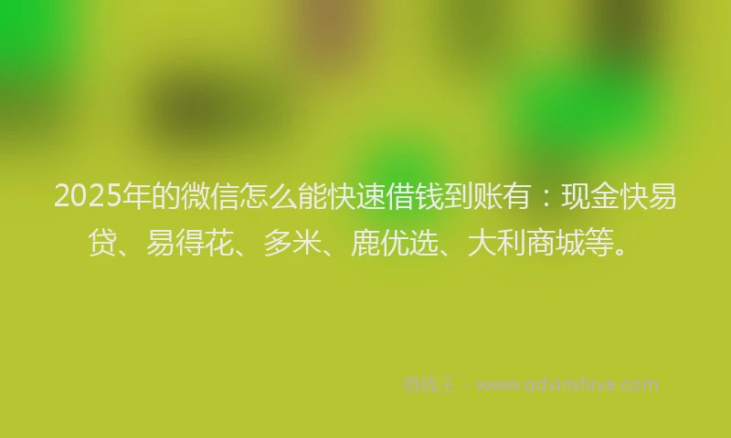 2025年的微信怎么能快速借钱到账有：现金快易贷、易得花、多米、鹿优选、大利商城等。