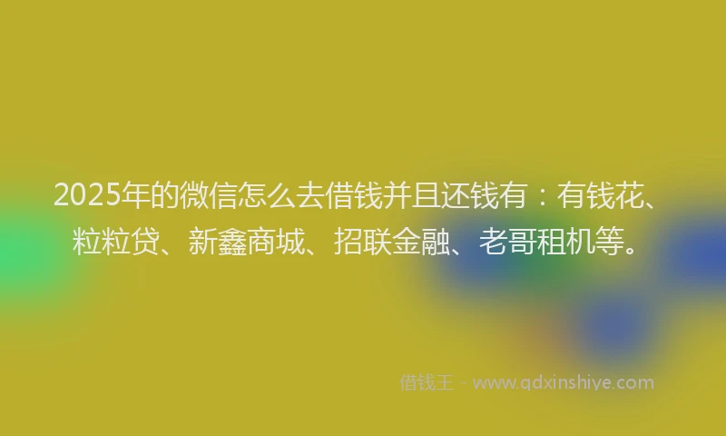 2025年的微信怎么去借钱并且还钱有：有钱花、粒粒贷、新鑫商城、招联金融、老哥租机等。