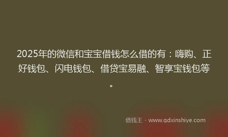 2025年的微信和宝宝借钱怎么借的有：嗨购、正好钱包、闪电钱包、借贷宝易融、智享宝钱包等。