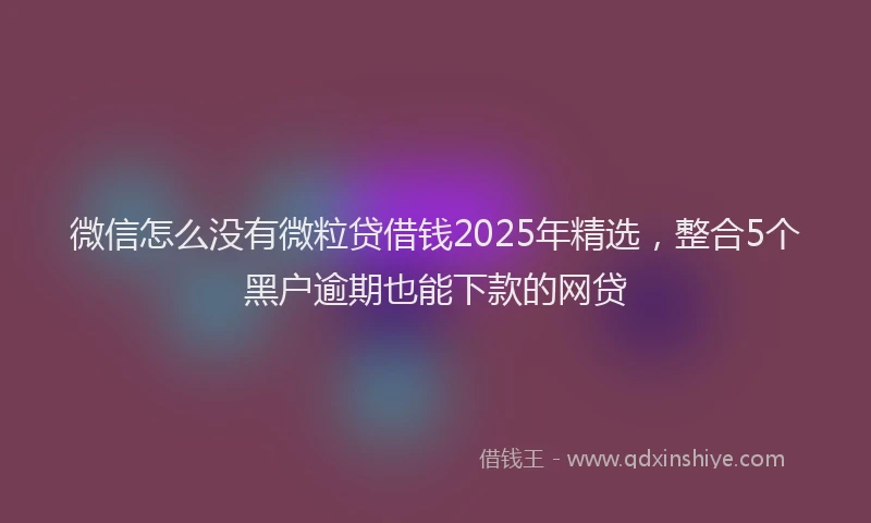 微信怎么没有微粒贷借钱2025年精选，整合5个黑户逾期也能下款的网贷