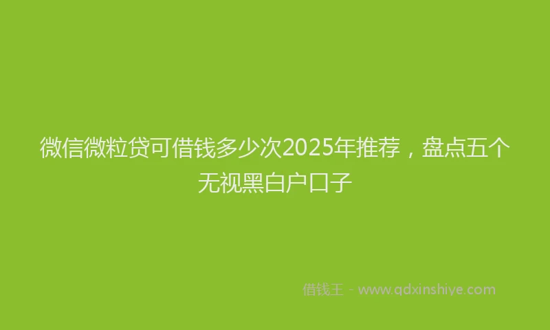 微信微粒贷可借钱多少次2025年推荐，盘点五个无视黑白户口子