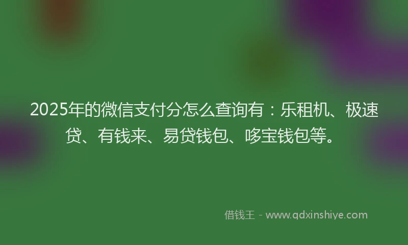 2025年的微信支付分怎么查询有：乐租机、极速贷、有钱来、易贷钱包、哆宝钱包等。