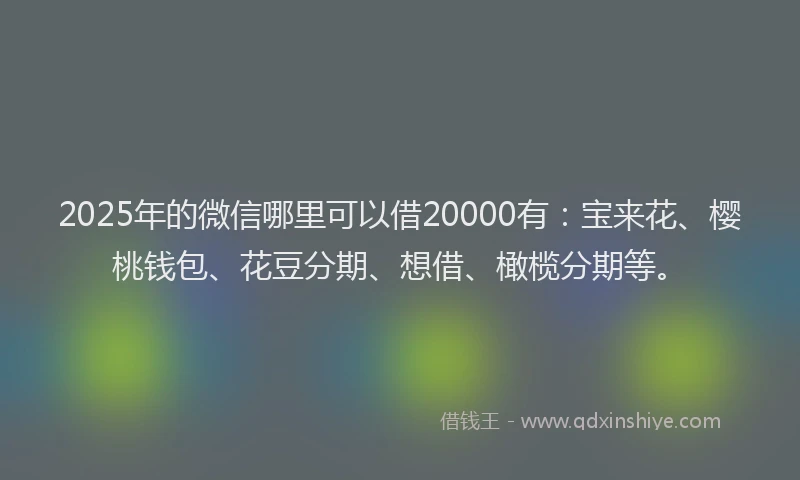 2025年的微信哪里可以借20000有：宝来花、樱桃钱包、花豆分期、想借、橄榄分期等。