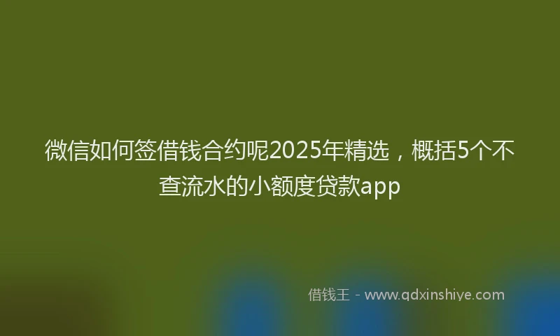 微信如何签借钱合约呢2025年精选，概括5个不查流水的小额度贷款app