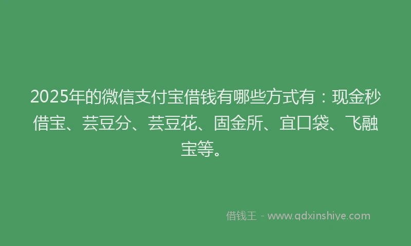 2025年的微信支付宝借钱有哪些方式有：现金秒借宝、芸豆分、芸豆花、固金所、宜口袋、飞融宝等。