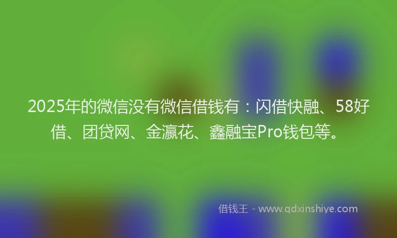 2025年的微信没有微信借钱有：闪借快融、58好借、团贷网、金瀛花、鑫融宝Pro钱包等。