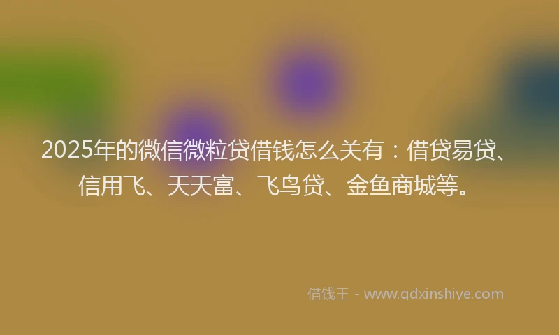 2025年的微信微粒贷借钱怎么关有：借贷易贷、信用飞、天天富、飞鸟贷、金鱼商城等。