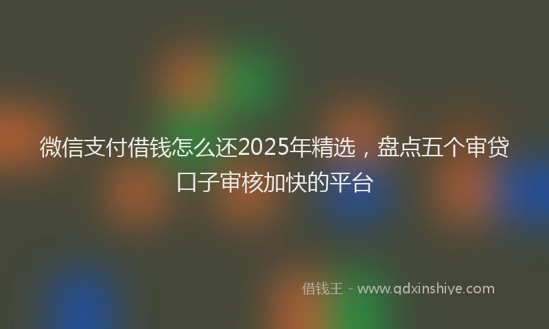 微信支付借钱怎么还2025年精选，盘点五个审贷口子审核加快的平台
