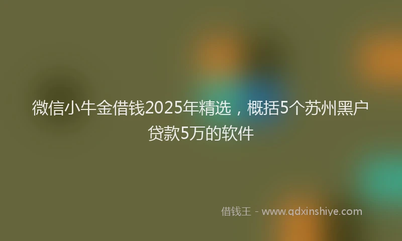 微信小牛金借钱2025年精选，概括5个苏州黑户贷款5万的软件