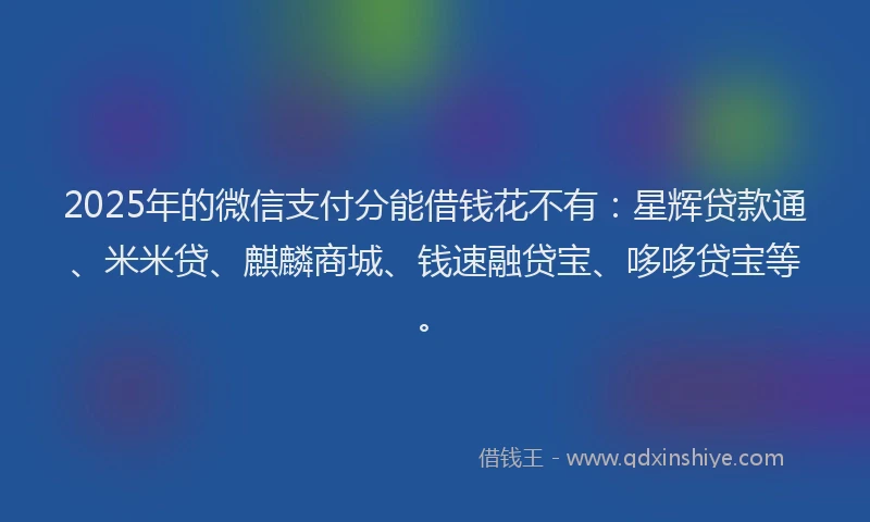 2025年的微信支付分能借钱花不有：星辉贷款通、米米贷、麒麟商城、钱速融贷宝、哆哆贷宝等。