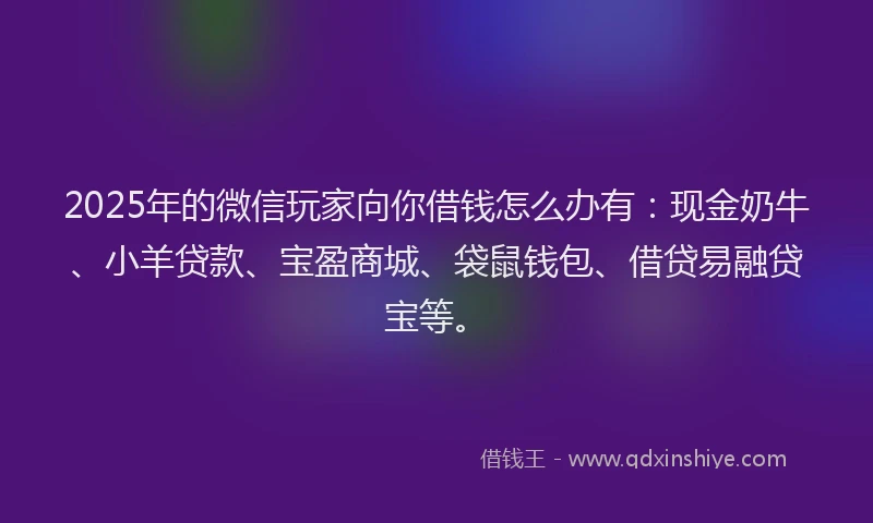 2025年的微信玩家向你借钱怎么办有：现金奶牛、小羊贷款、宝盈商城、袋鼠钱包、借贷易融贷宝等。