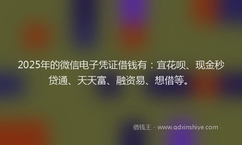 2025年的微信电子凭证借钱有：宜花呗、现金秒贷通、天天富、融资易、想借等。