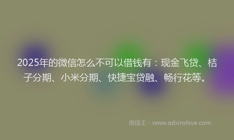 2025年的微信怎么不可以借钱有：现金飞贷、桔子分期、小米分期、快捷宝贷融、畅行花等。