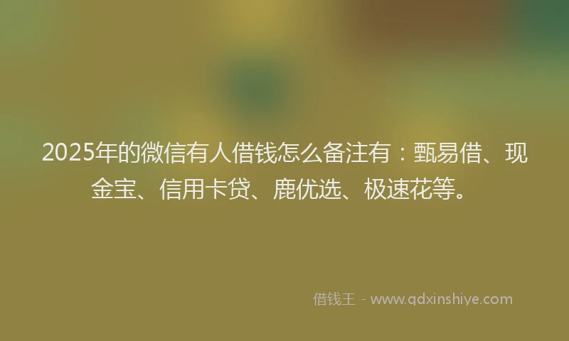 2025年的微信有人借钱怎么备注有：甄易借、现金宝、信用卡贷、鹿优选、极速花等。