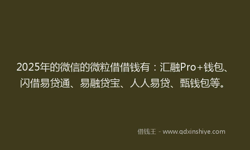 2025年的微信的微粒借借钱有：汇融Pro+钱包、闪借易贷通、易融贷宝、人人易贷、甄钱包等。