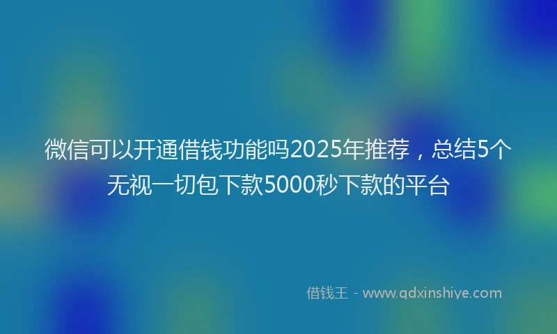 微信可以开通借钱功能吗2025年推荐，总结5个无视一切包下款5000秒下款的平台