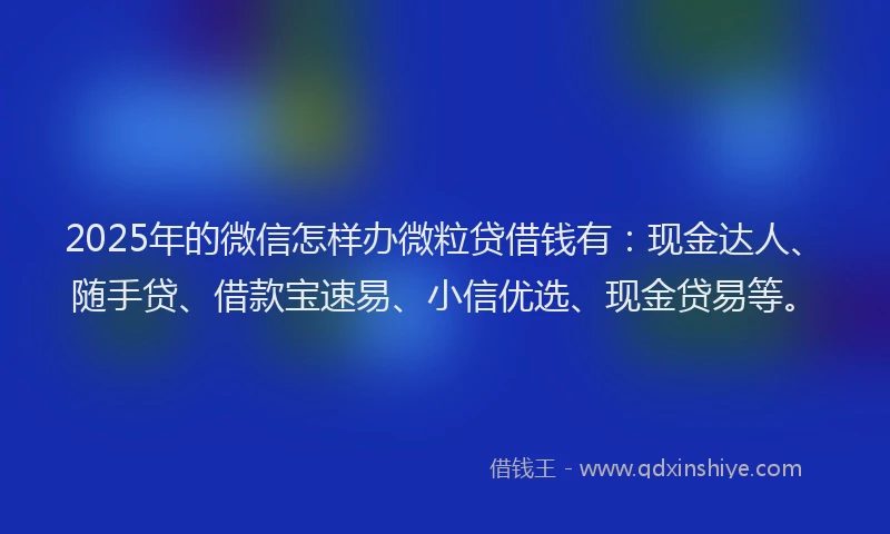 2025年的微信怎样办微粒贷借钱有：现金达人、随手贷、借款宝速易、小信优选、现金贷易等。