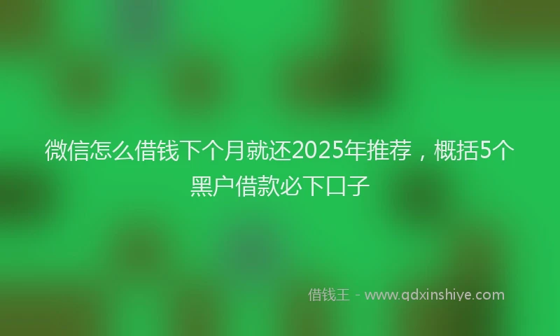微信怎么借钱下个月就还2025年推荐，概括5个黑户借款必下口子