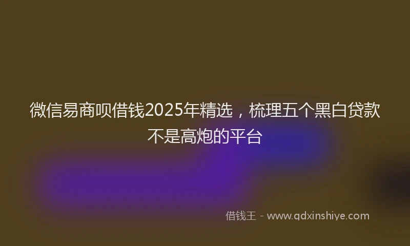 微信易商呗借钱2025年精选，梳理五个黑白贷款不是高炮的平台
