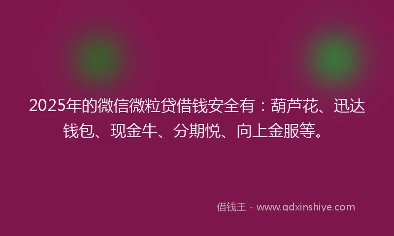 2025年的微信微粒贷借钱安全有：葫芦花、迅达钱包、现金牛、分期悦、向上金服等。