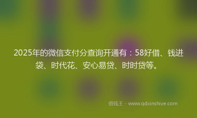 2025年的微信支付分查询开通有：58好借、钱进袋、时代花、安心易贷、时时贷等。