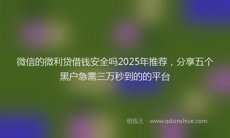 微信的微利贷借钱安全吗2025年推荐，分享五个黑户急需三万秒到的的平台