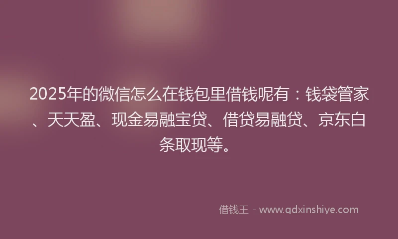 2025年的微信怎么在钱包里借钱呢有：钱袋管家、天天盈、现金易融宝贷、借贷易融贷、京东白条取现等。