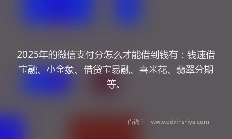 2025年的微信支付分怎么才能借到钱有：钱速借宝融、小金象、借贷宝易融、喜米花、翡翠分期等。