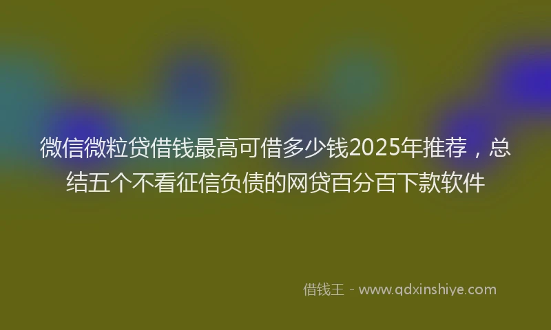 微信微粒贷借钱最高可借多少钱2025年推荐，总结五个不看征信负债的网贷百分百下款软件