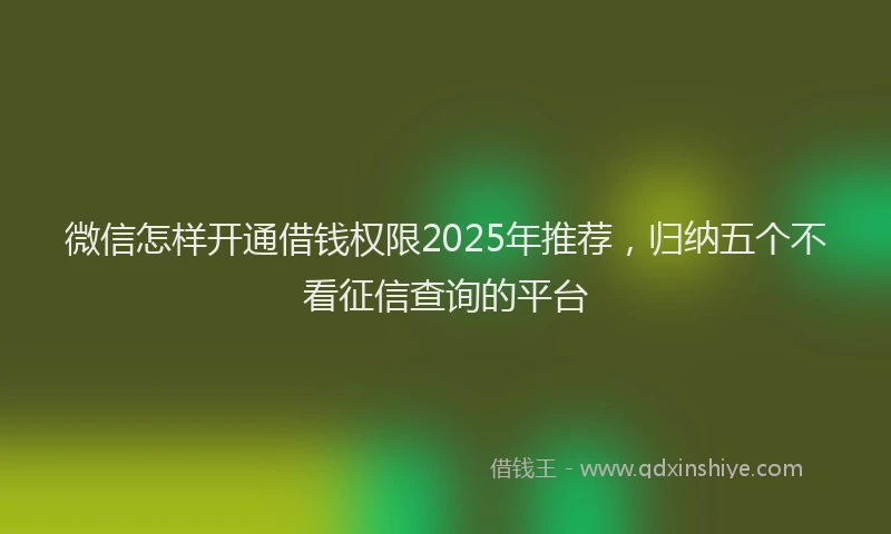 微信怎样开通借钱权限2025年推荐，归纳五个不看征信查询的平台