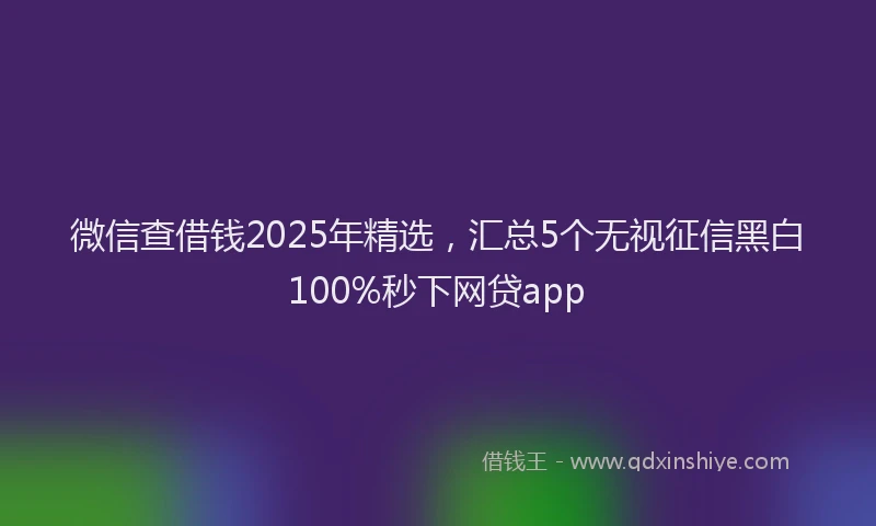微信查借钱2025年精选，汇总5个无视征信黑白100%秒下网贷app