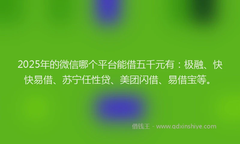 2025年的微信哪个平台能借五千元有：极融、快快易借、苏宁任性贷、美团闪借、易借宝等。
