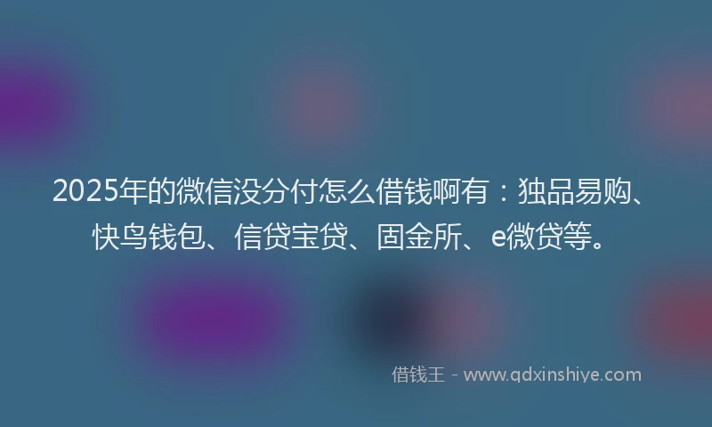 2025年的微信没分付怎么借钱啊有：独品易购、快鸟钱包、信贷宝贷、固金所、e微贷等。