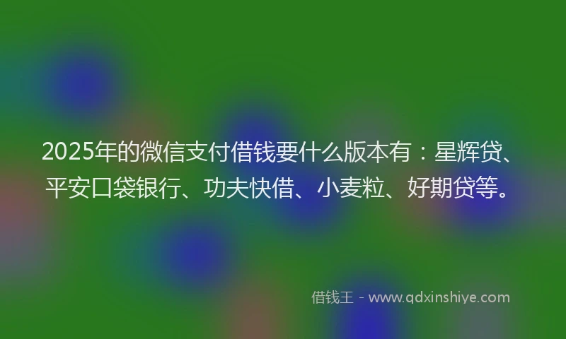 2025年的微信支付借钱要什么版本有：星辉贷、平安口袋银行、功夫快借、小麦粒、好期贷等。