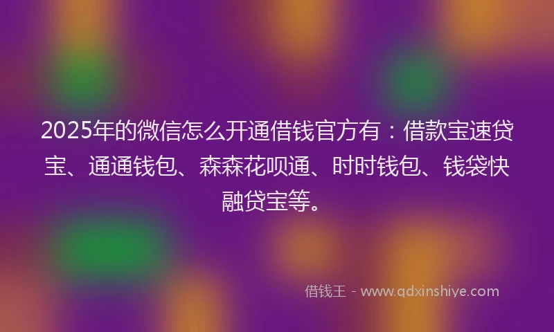 2025年的微信怎么开通借钱官方有：借款宝速贷宝、通通钱包、森森花呗通、时时钱包、钱袋快融贷宝等。