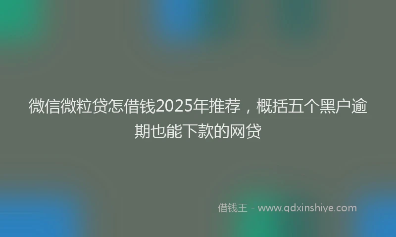 微信微粒贷怎借钱2025年推荐，概括五个黑户逾期也能下款的网贷