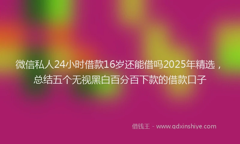 微信私人24小时借款16岁还能借吗2025年精选，总结五个无视黑白百分百下款的借款口子