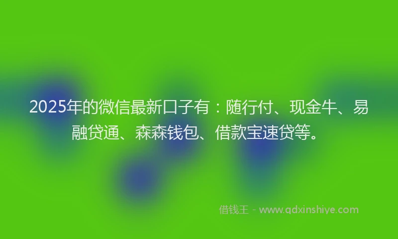 2025年的微信最新口子有：随行付、现金牛、易融贷通、森森钱包、借款宝速贷等。
